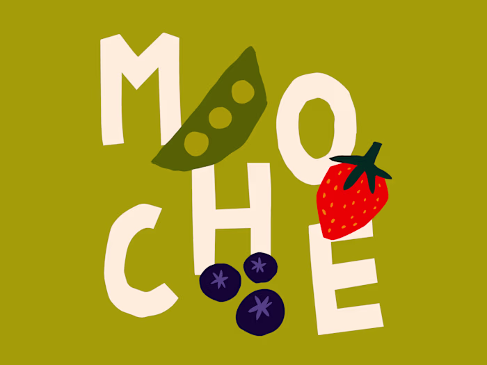 Branding Design - Moche