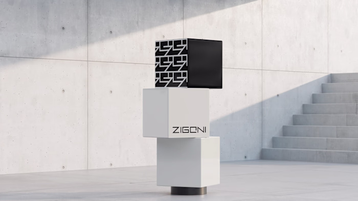 Visual Identity for Zigoni