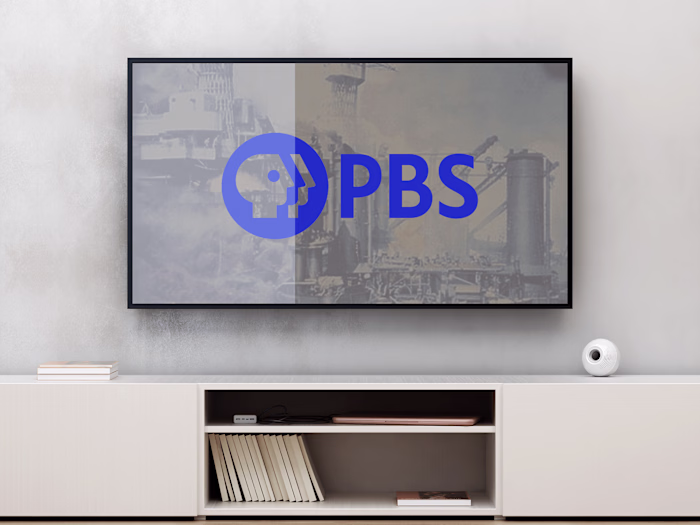 Empowering Change: Public Broadcasting Service