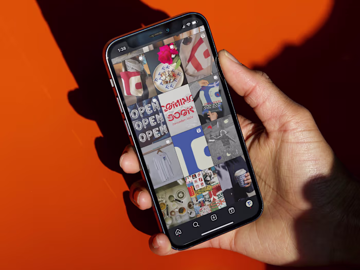 The Telluride Company 