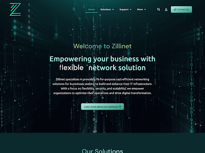 Zillinet - Networking Solutions Website Development