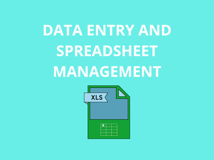 Data Entry and Spreadsheet Management