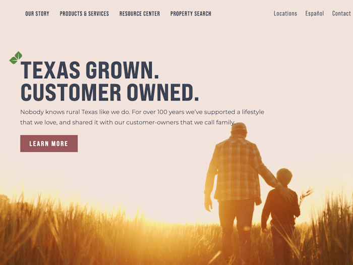 Site Copy & Media Curation for Financial Institution