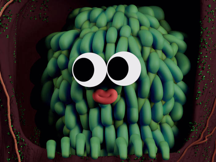 Who’s hiding in the hollow? 3D animation