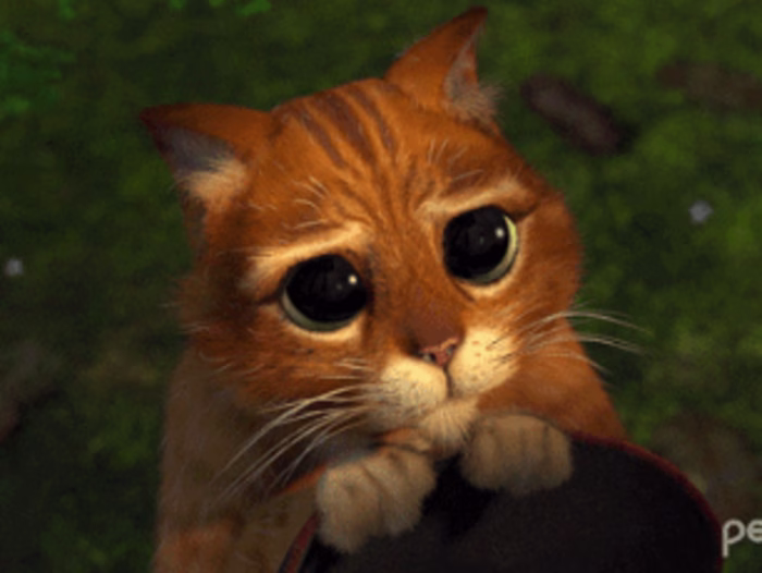 Simple website to ask a girl to be your valentine