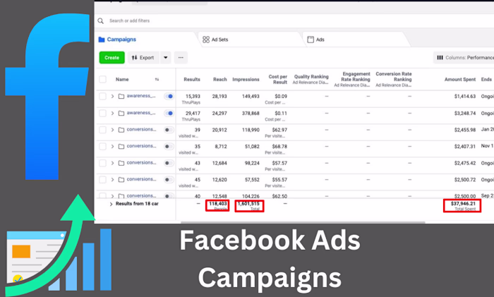 🚀 Excited to work with my USA client on a Facebook Ads camp...