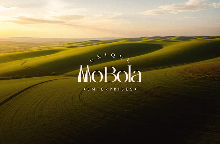 U' Mobola Brand Identity 