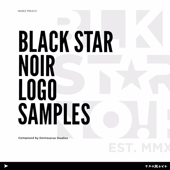 BLACK STAR NOIR LOGO DESIGN SAMPLES
