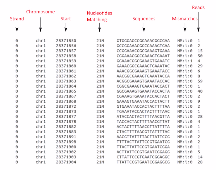 Bioinformatic tool: Read_extractor