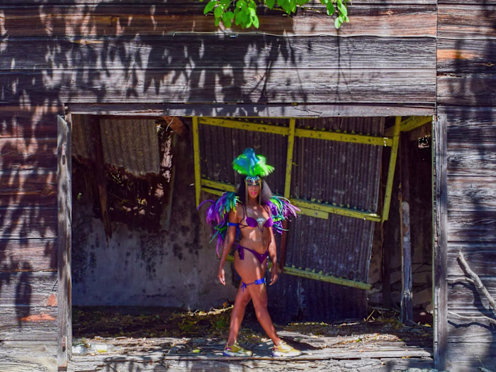 Like a Violet Sabrewing (*Campyloptère Violet)