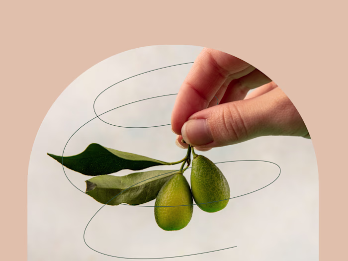 Brand Identity Kit for Agri Tech Startup