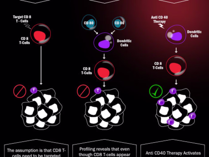 Medical/Scientific Illustrations