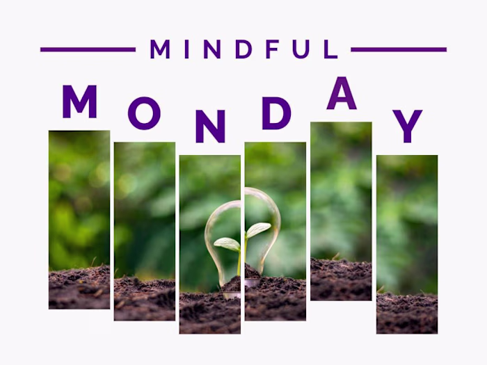 🛍 My Best Friend's Closet