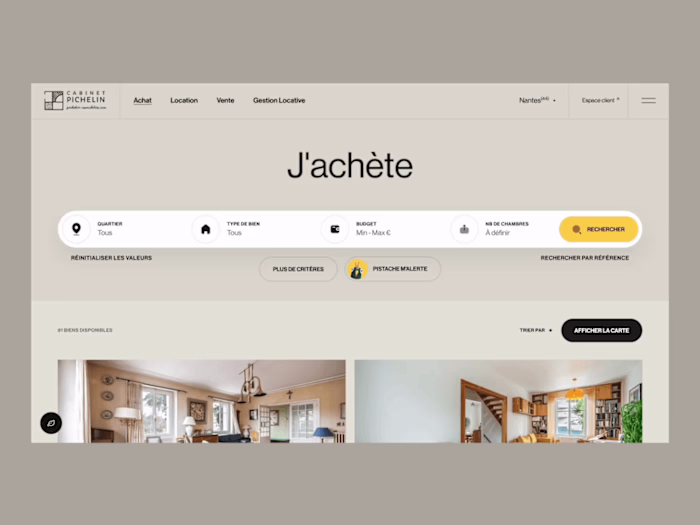 Pichelin Website design