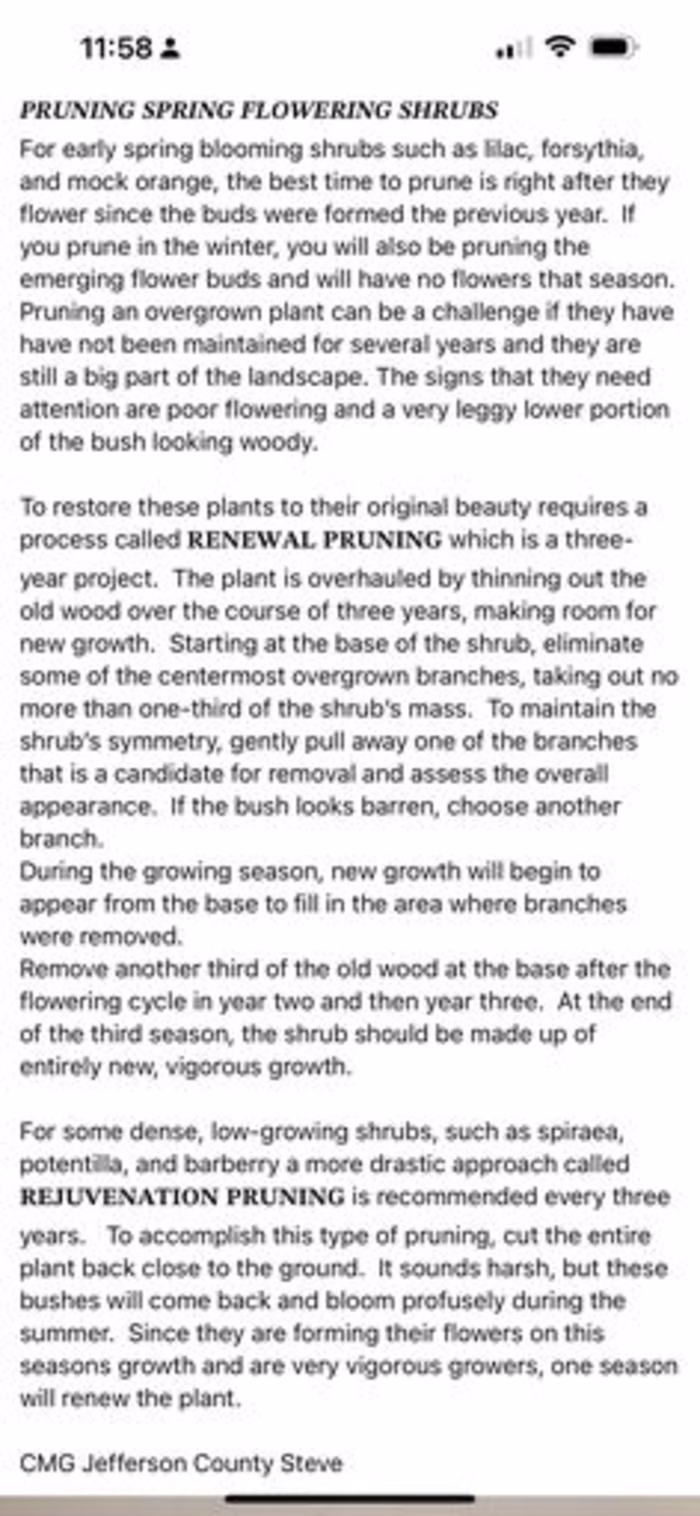 Overtime Pain Relief Lotion Ad