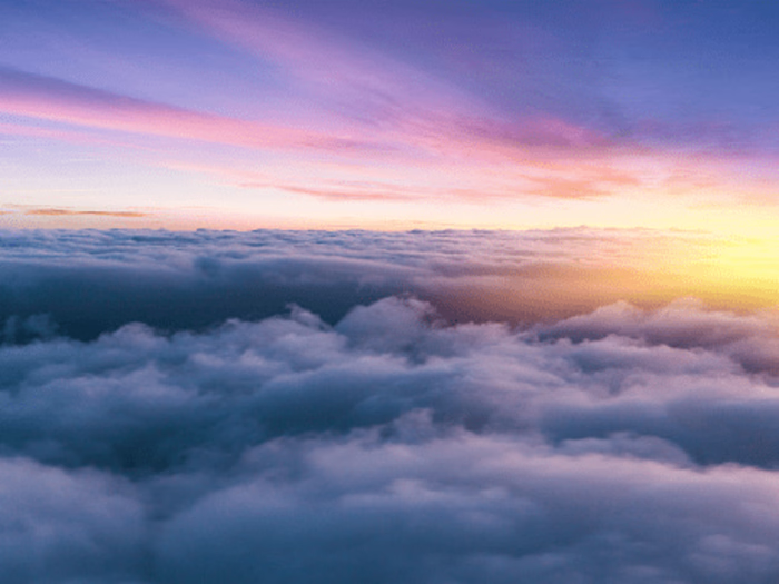 Driving Customer Loyalty