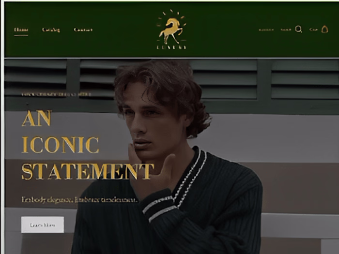 Toluwani A. on LinkedIn: #shopifystore #luxuryecommerce #webdes…