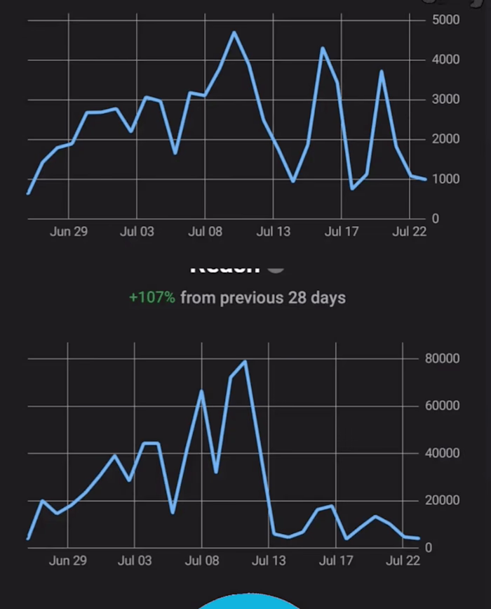  Comprehensive Digital Marketing and Sales Campaign.