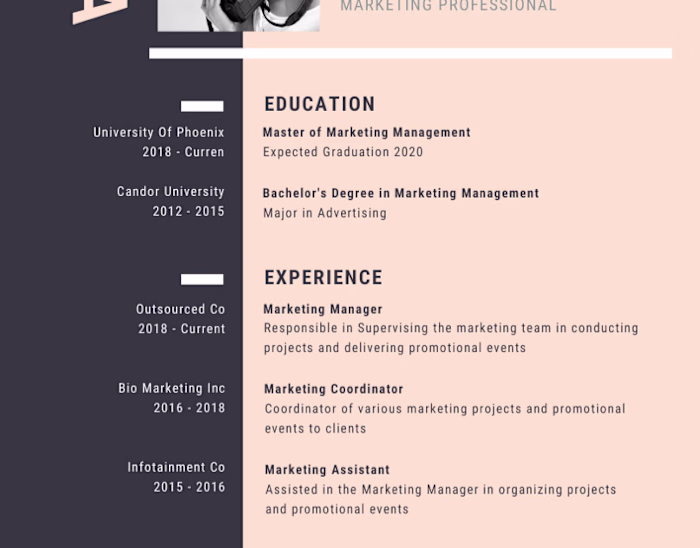 Sample Resume Design