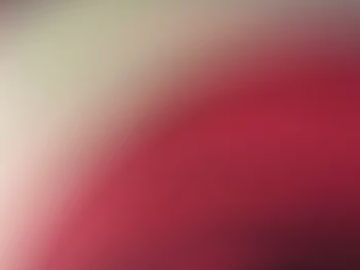 Email Marketing Manager Results + Examples