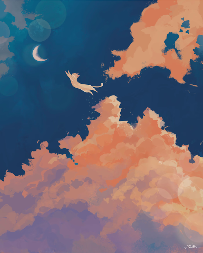 The cat and the moon collection