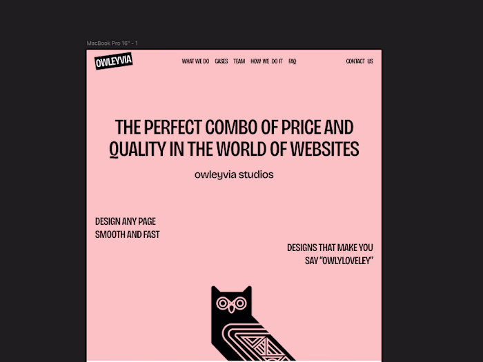 Owleyvia-Agency portfolio clone