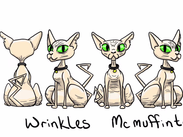Sphynx Cat Character Turnaround