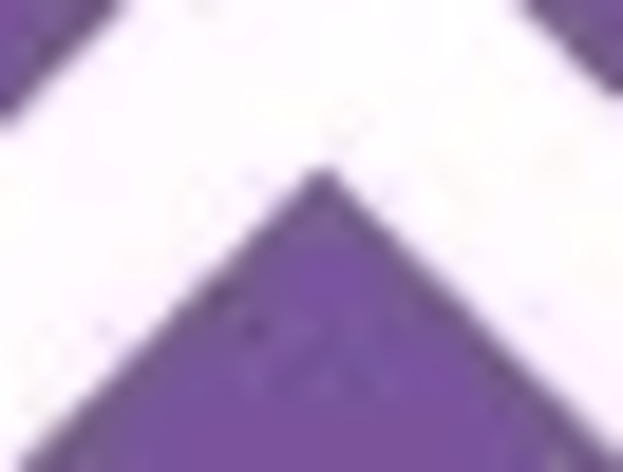 Website Content Writing and Management; Social Media