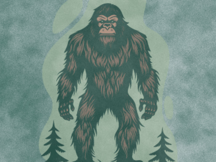 Data Analysis Narrative & Visualizations