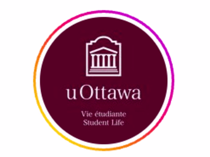 Social Media Management and Content Creation