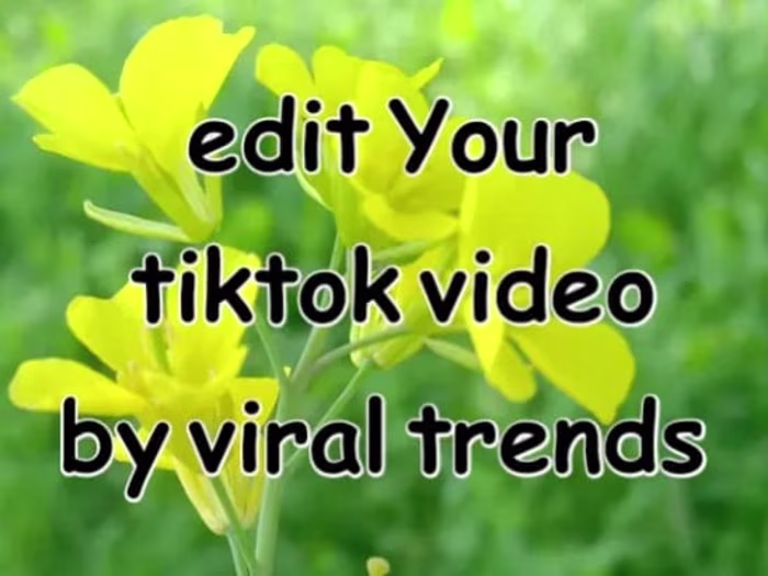 I will edit your social media videos like tiktok, instagram reel