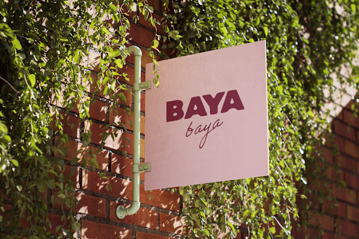 Baya Baya – A Juicy, Playful Brand Identity for an Açaí Bar