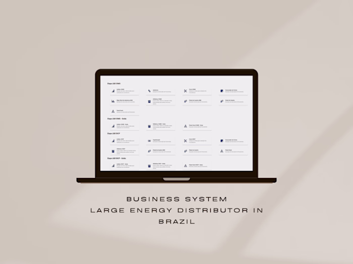 Business system - Large energy distributor in Brazil