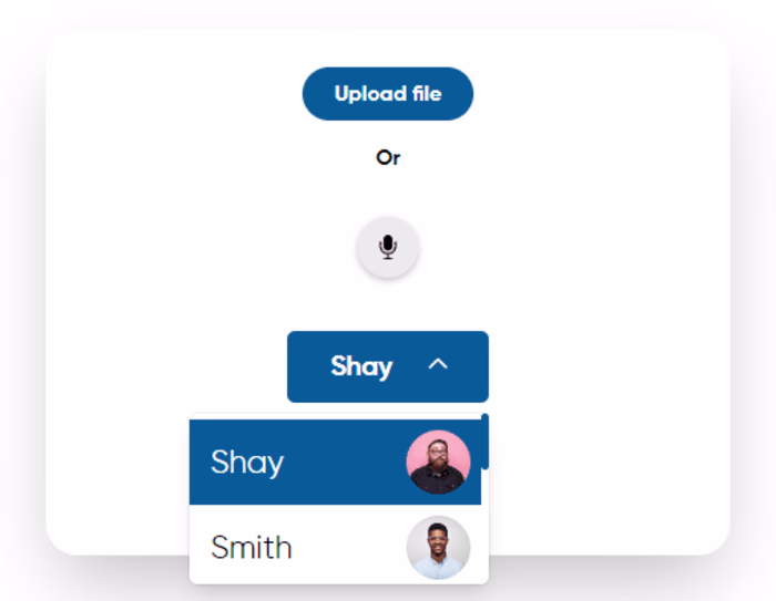 VoiceForge Pro: Voice Cloning Solution
