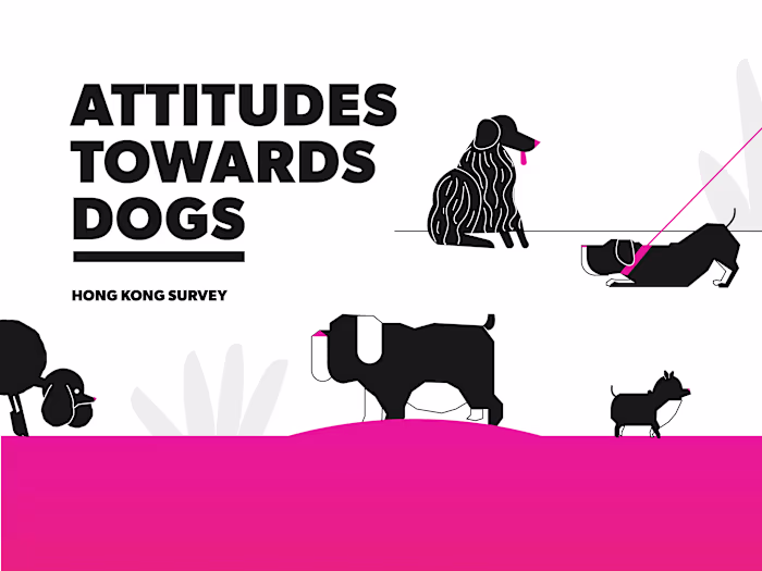Attitudes Towards Dogs Infographic