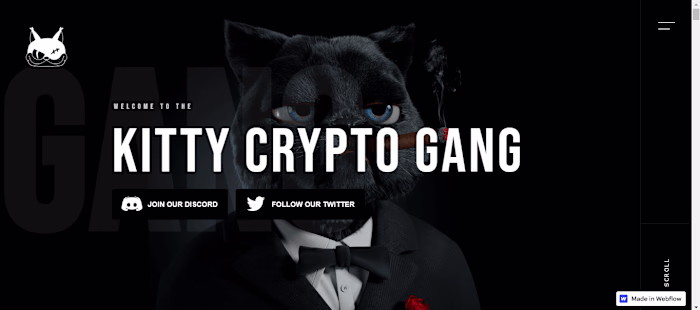 Kitty Crypto Gang