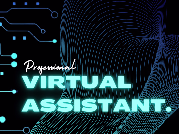 Professional Virtual Assistant