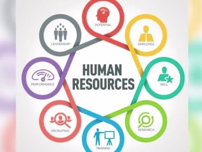 Portfolio - Google Drive