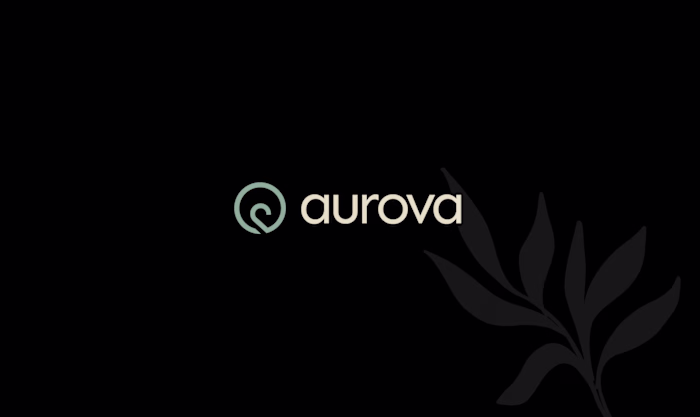 Branding & Identity Design