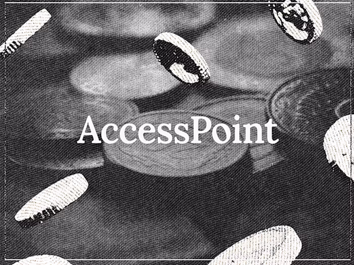AccessPoint — Brand Foundation & Investor Deck Design