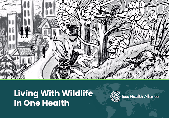 Pitch Deck Design | Presentation Designs