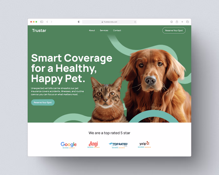 Pet Insurance Website design