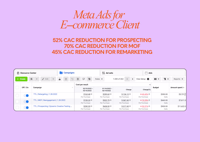 Meta Ads for E-commerce Subscription Box Brand