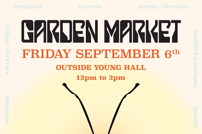 Sample Poster Design