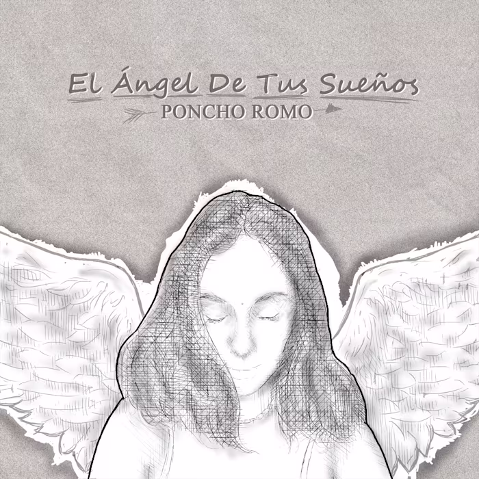 Cover artwork and animation: the visual identity of a song