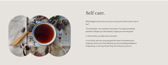 I'm working with The Humble Mug, an herbal tea shop in Vermo...