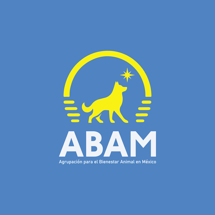 ABAM - Capstone Project