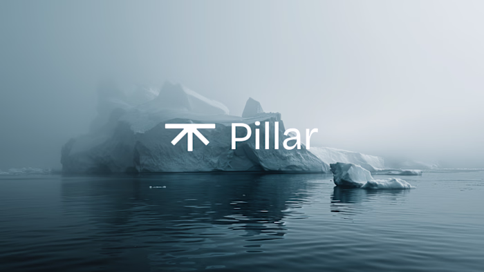 Pillar — Brand & Website
