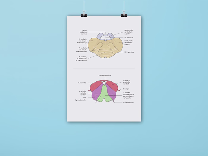 Infographics