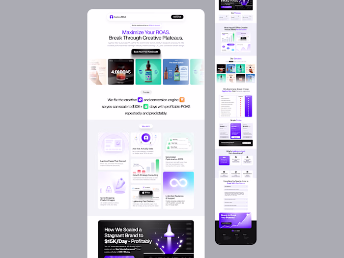 Apptics MAX Landing Page Design